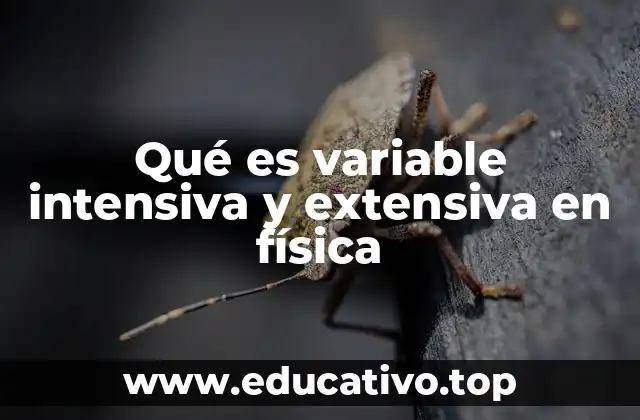 Propiedades físicas y su clasificación en intensivas y extensivas