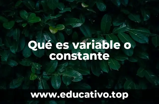 Qué es variable o constante