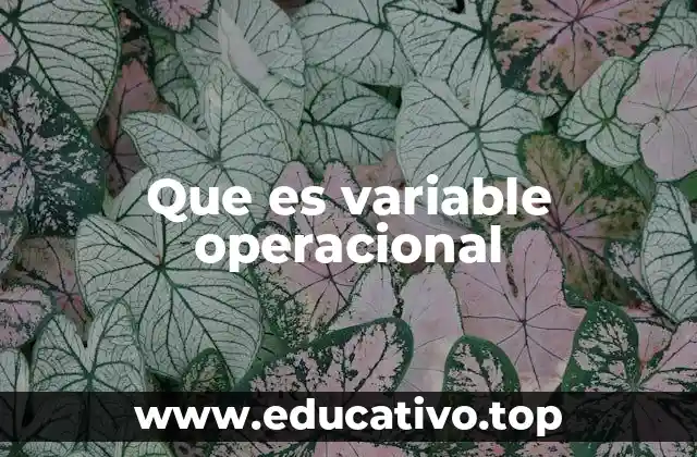 Que es variable operacional