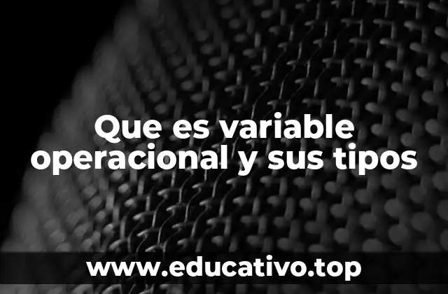 Que es variable operacional y sus tipos