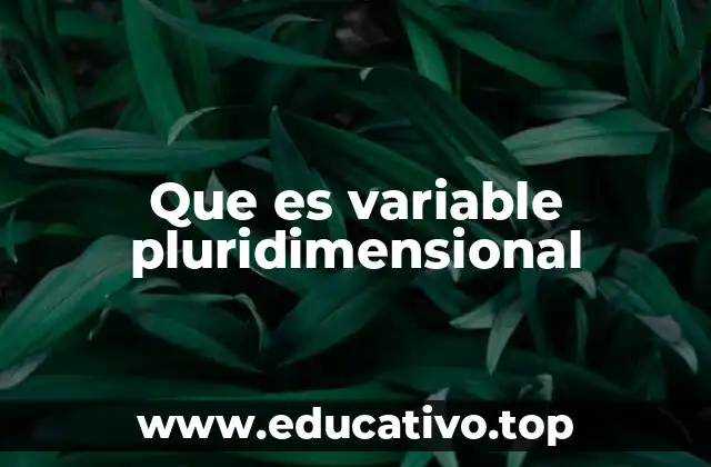 Que es variable pluridimensional
