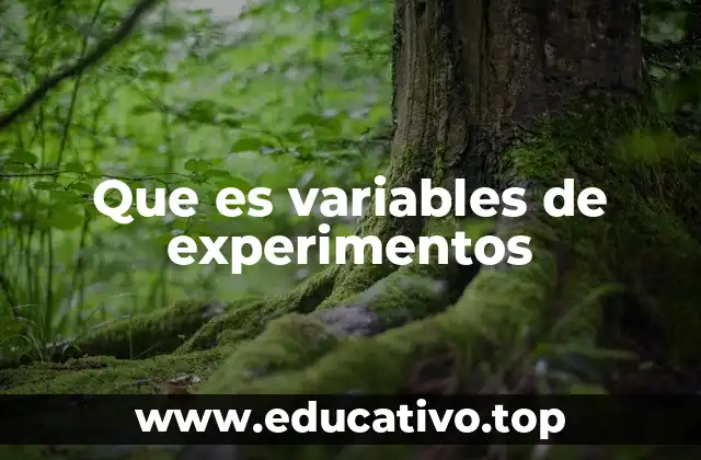 Que es variables de experimentos