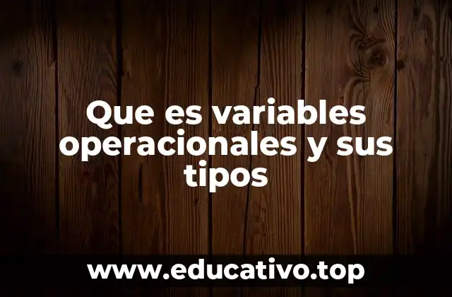 Que es variables operacionales y sus tipos