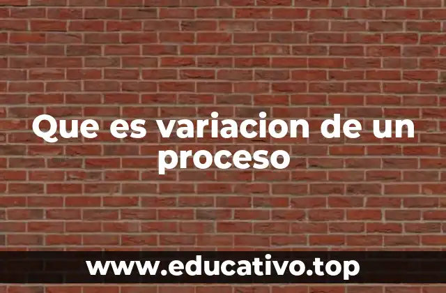 Que es variacion de un proceso