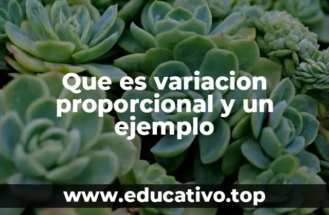 Que es variacion proporcional y un ejemplo