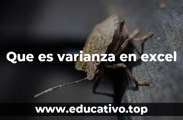 Que es varianza en excel