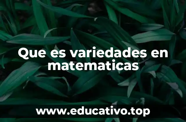 Que es variedades en matematicas