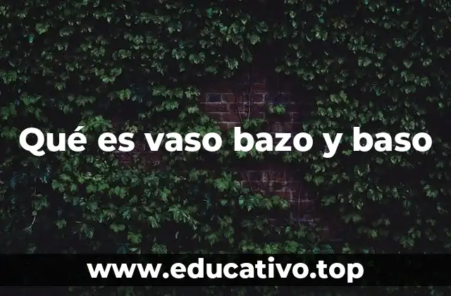 Qué es vaso bazo y baso