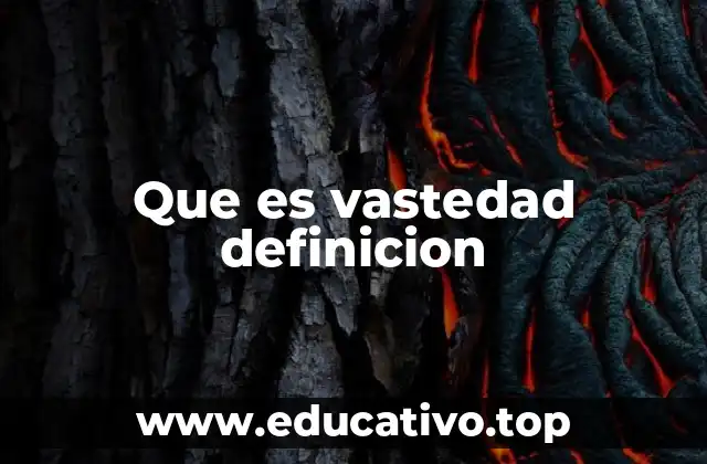 Que es vastedad definicion