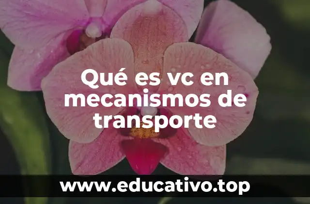 Qué es vc en mecanismos de transporte