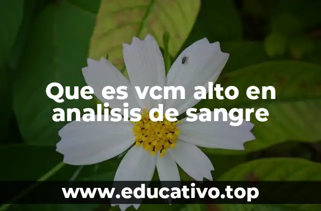 Que es vcm alto en analisis de sangre