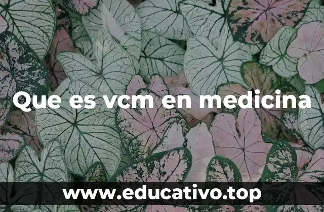 Que es vcm en medicina