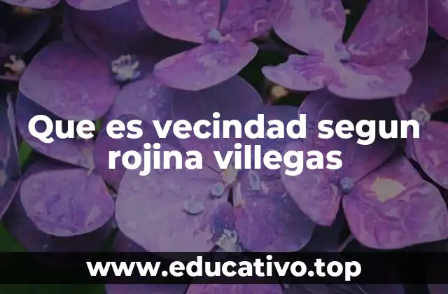 Que es vecindad segun rojina villegas