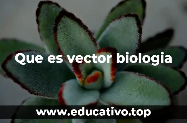 Que es vector biologia