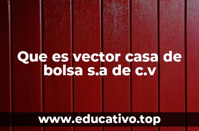Que es vector casa de bolsa s.a de c.v