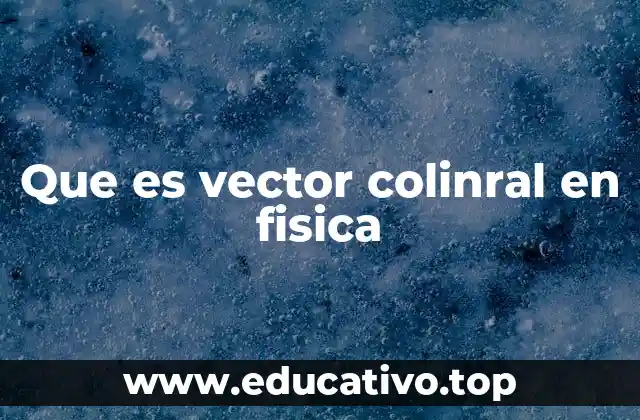 Que es vector colinral en fisica