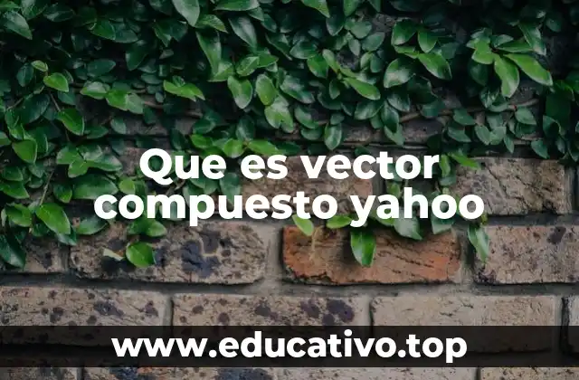 Vectores compuestos y su uso en la programación de flujos de datos