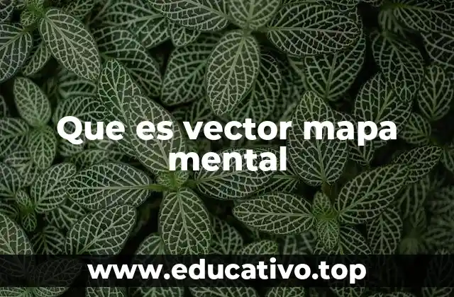 Que es vector mapa mental