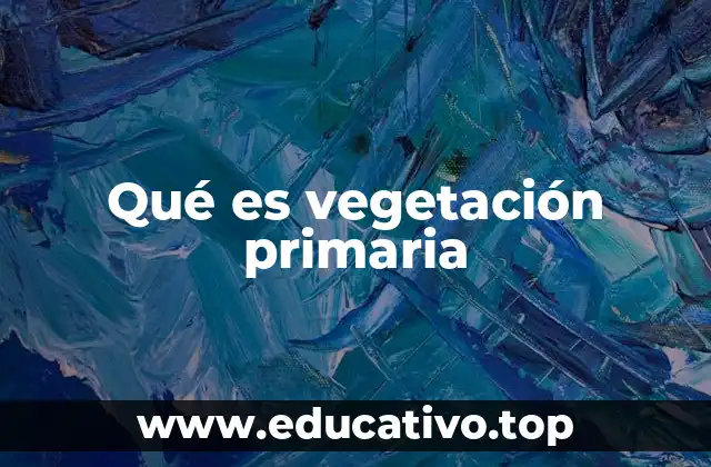 La importancia de la vegetación natural en el equilibrio ecológico
