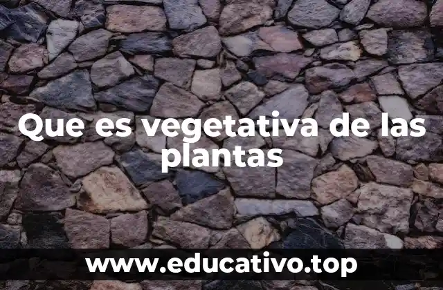 Que es vegetativa de las plantas