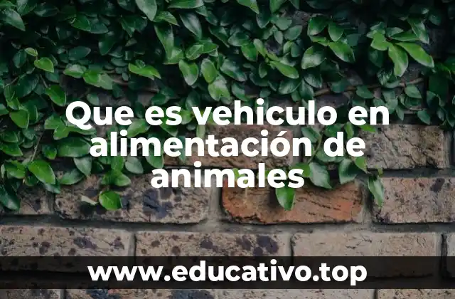 Que es vehiculo en alimentación de animales