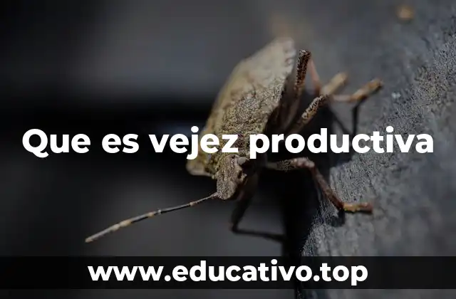 Que es vejez productiva