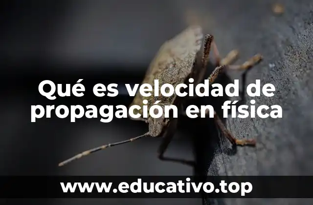 Qué es velocidad de propagación en física