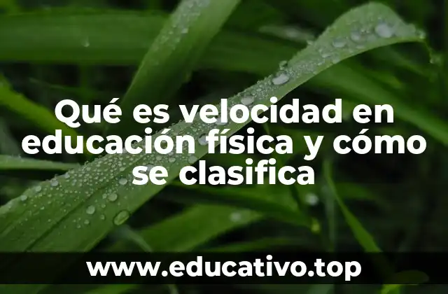 Qué es velocidad en educación física y cómo se clasifica