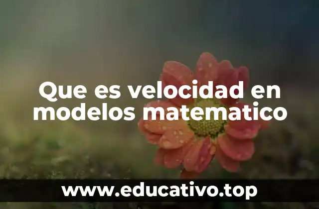 Que es velocidad en modelos matematico