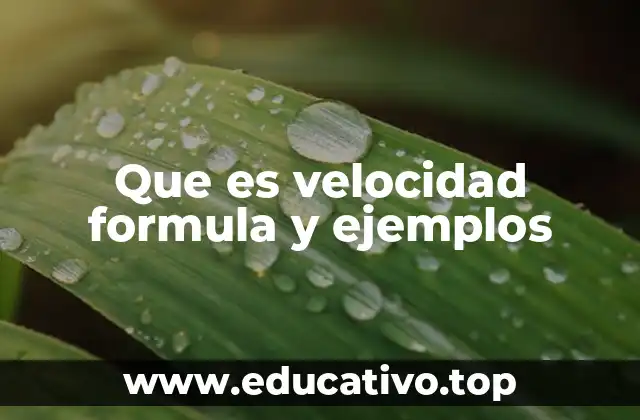 Que es velocidad formula y ejemplos