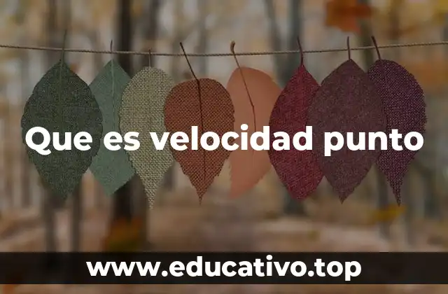 Que es velocidad punto