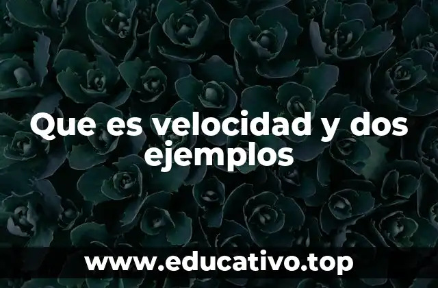 Que es velocidad y dos ejemplos