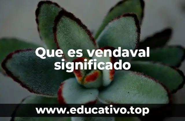 Que es vendaval significado