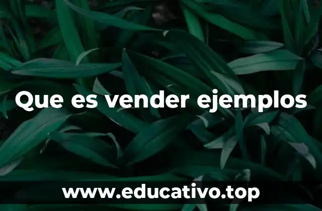 Que es vender ejemplos
