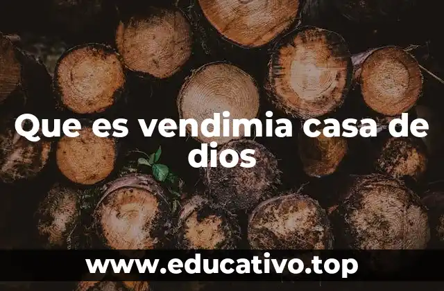 Que es vendimia casa de dios
