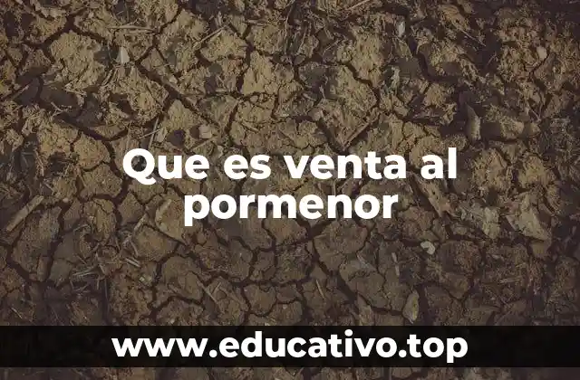 Que es venta al pormenor