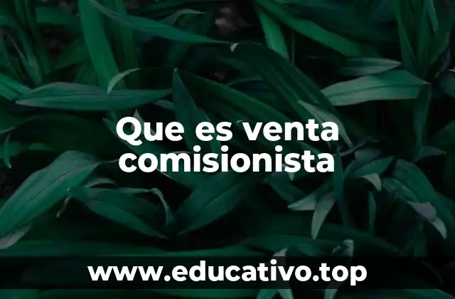Que es venta comisionista