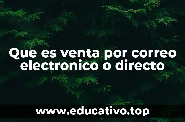 Que es venta por correo electronico o directo