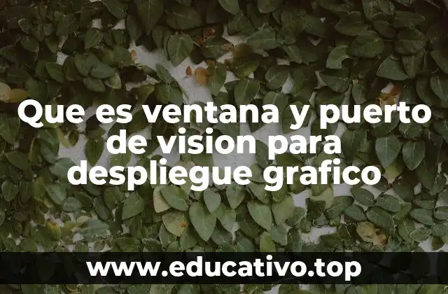 Que es ventana y puerto de vision para despliegue grafico