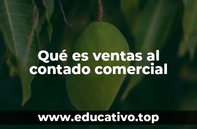 Qué es ventas al contado comercial