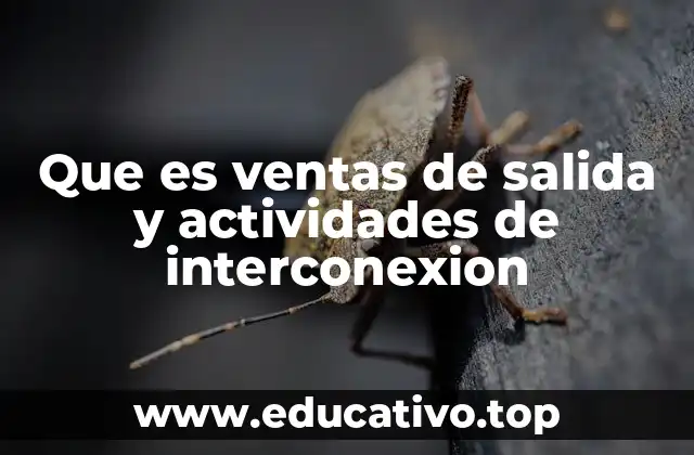Que es ventas de salida y actividades de interconexion