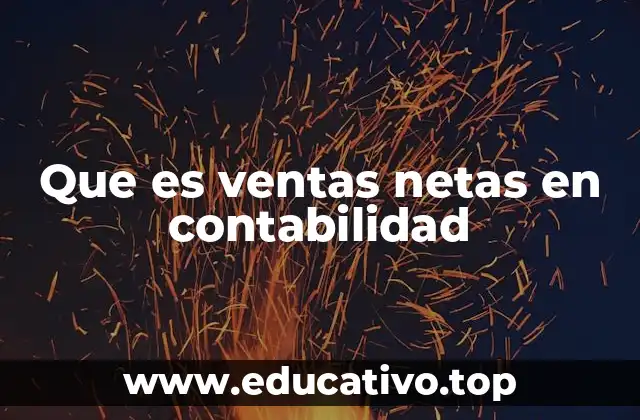 El rol de las ventas netas en la evaluación financiera empresarial