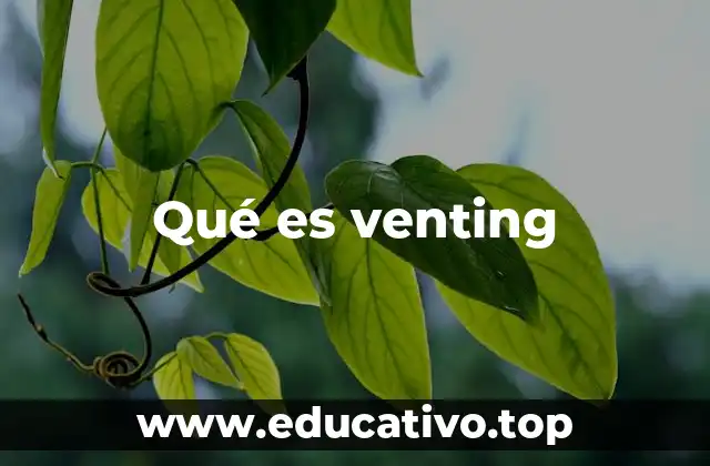 Qué es venting