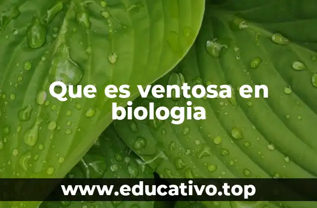 Que es ventosa en biologia