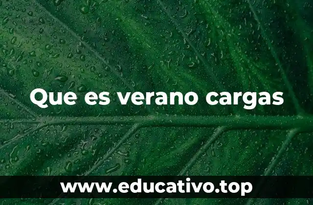 Que es verano cargas