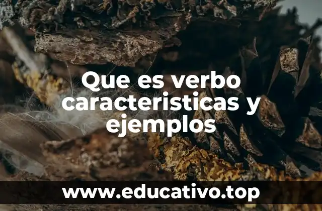 Que es verbo caracteristicas y ejemplos