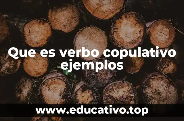 Que es verbo copulativo ejemplos