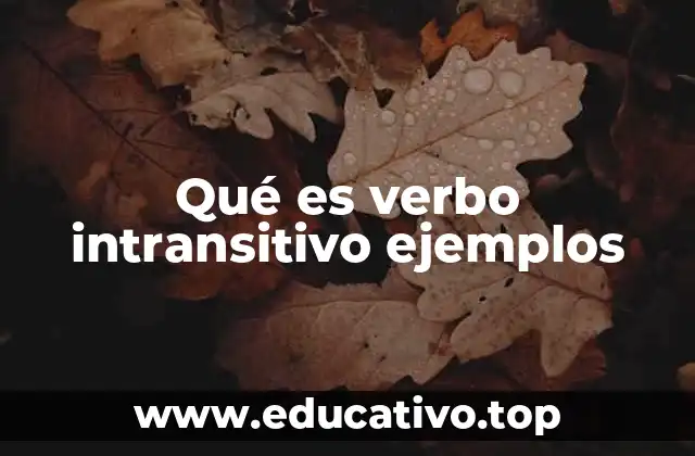 Qué es verbo intransitivo ejemplos