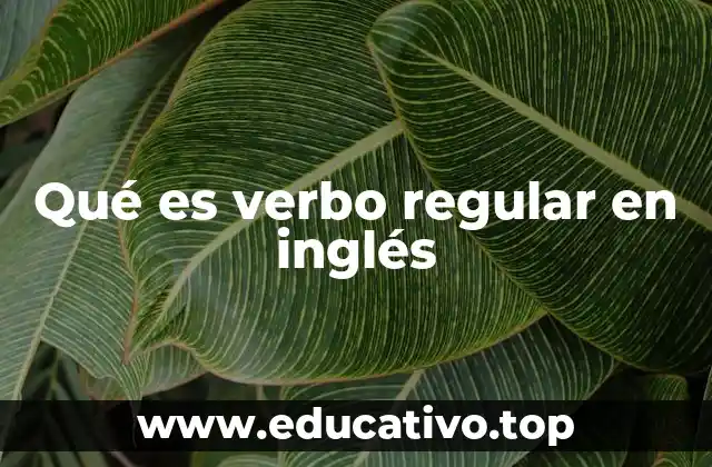 Qué es verbo regular en inglés