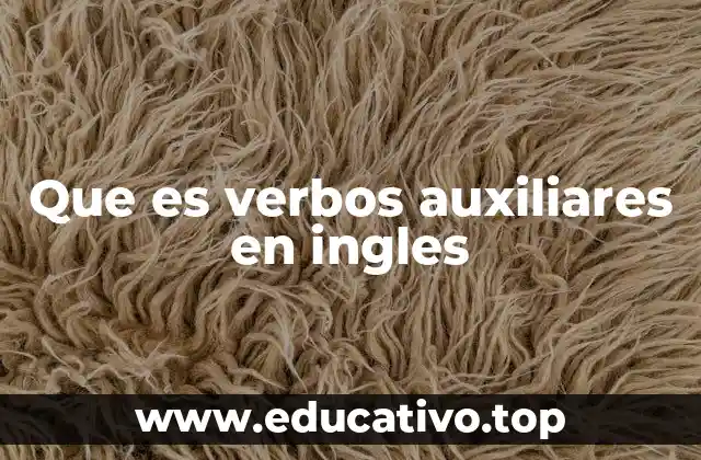 Que es verbos auxiliares en ingles
